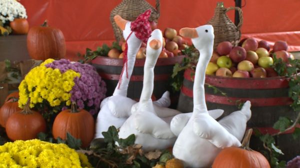 Márton-nap Beleden (1. rész)