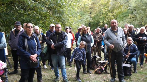 Íjászverseny a csornai Vilmos parkban