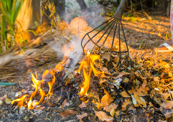 A növényi hulladékégetés szabályai