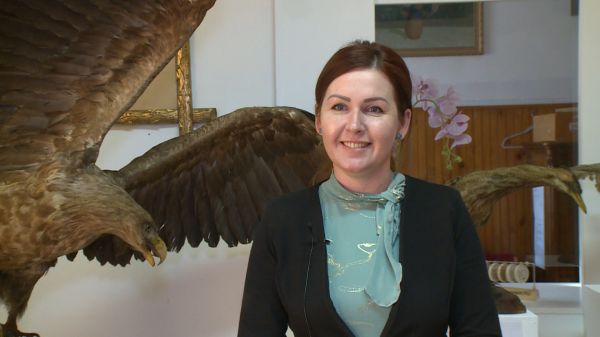 A hónap műtárgya - a Hanság madárvilága a kapuvári múzeumban
